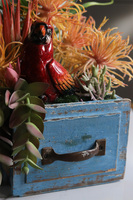 Papuga, egzotyczna dekoracja w szufladzie