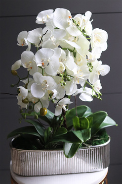 Hillton Silver Long, wysokiej jakości sztuczny storczyk, wys.58cm 