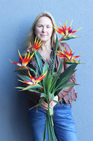 Strelicja Królewska Modern, bukiet kwiatów do wazonu