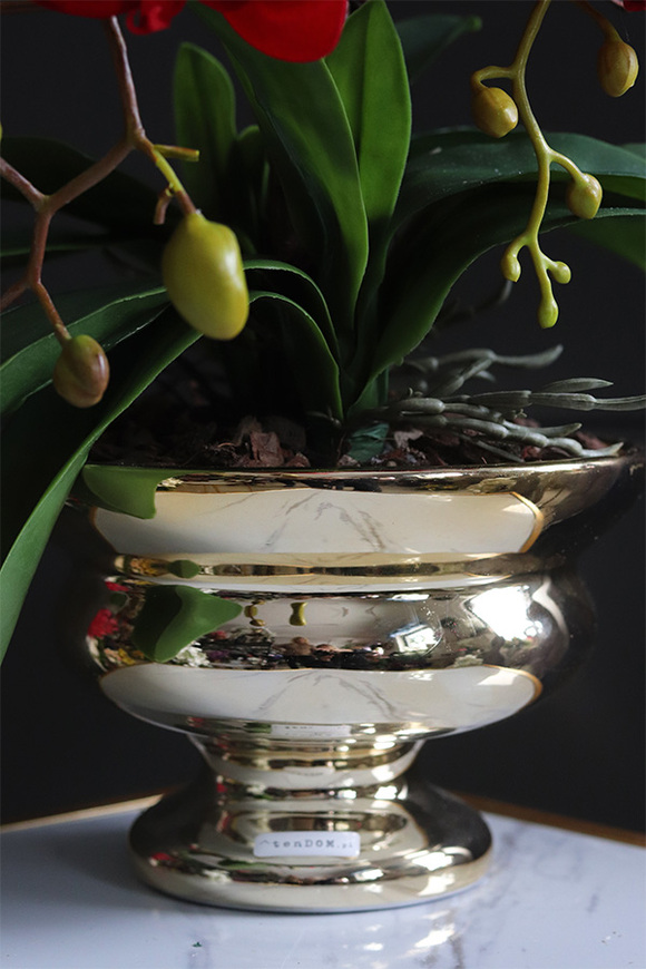 Miłosna Czerwień, karminowy welurowy storczyk