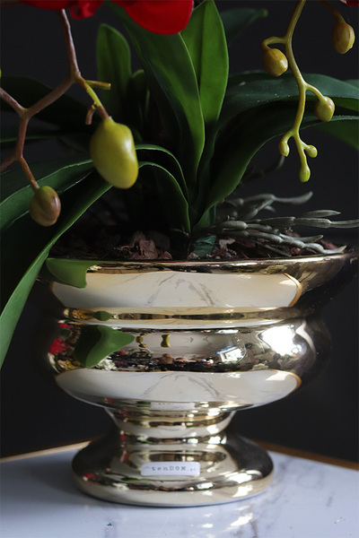 Miłosna Czerwień, karminowy welurowy storczyk