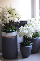 Grey House, sztuczny storczyk w ceramicznej donicy