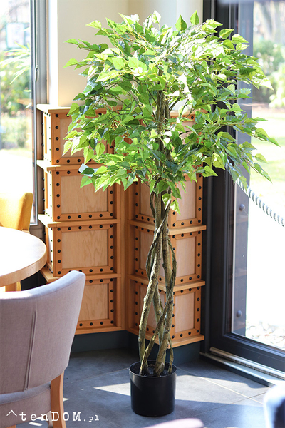 Brzoza, sztuczna roślina w doniczce