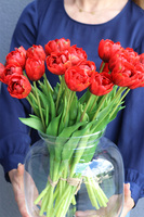 Reddo, czerwone tulipany w wazonie, wys.45cm