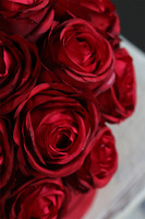 flowerbox na prezent Jubileo 30 Róż w welurowym pudełku