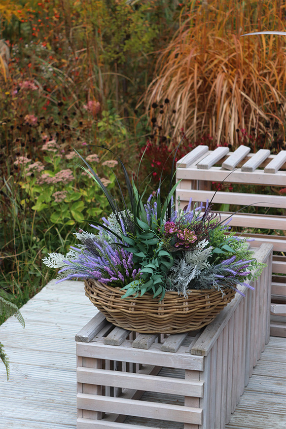 Fregata Rattania, kompozycja w koszu z wrzosami, wym.65x70cm