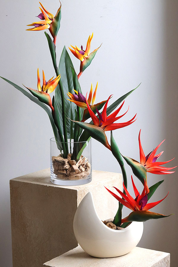 Strelicja Glassier, kompozycja ze strelicją w szkle