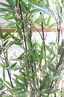 Bambus Eduardo, sztuczna roślina w donicy