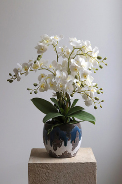 OD RĘKI Blerana 2, stylowy storczyk w doniczce, wys.57cm