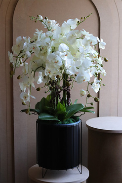 Black Investo, sztuczny storczyk w szarej donicy na stojaku, wys.93cm 