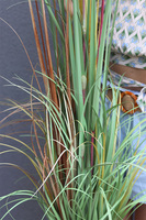 sztuczna trawa Pióropusze, beż, wys.150cm