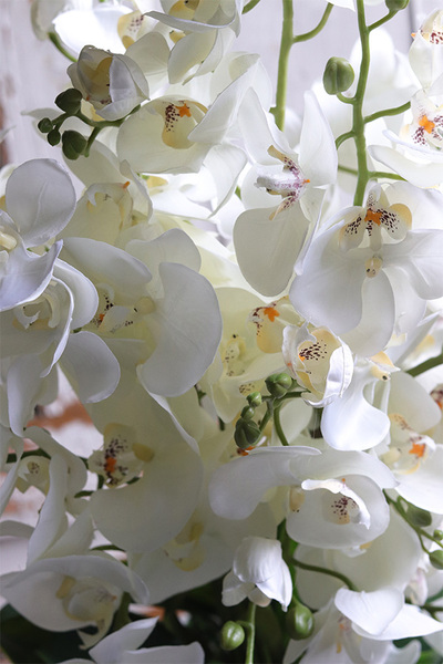 White Gaina, wysokiej jakości sztuczny storczyk