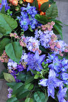 Bella Słodko-Słona, dekoracyjna girlanda kwiatowa