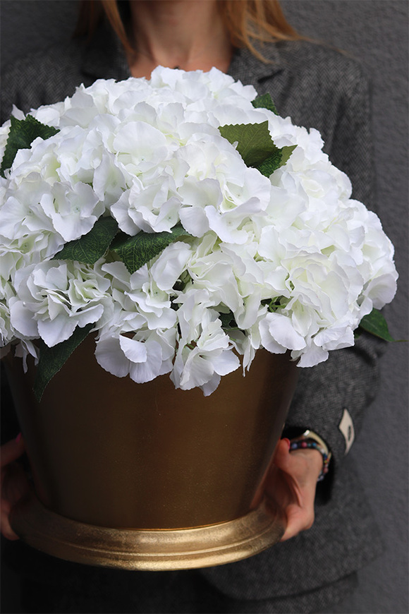 Hydrangea Champagne, kompozycja kwiatowa w coolerze