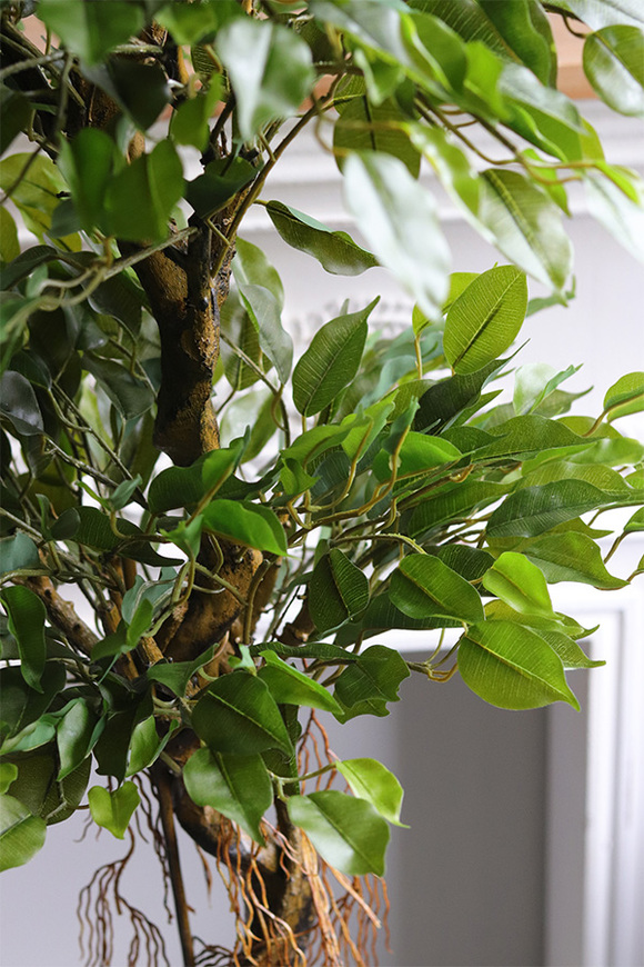 Fikus Concrete, sztuczne drzewko w betonowej donicy