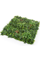 atrakcyjny panel ścienny, Green Premium B, wym.100x100cm