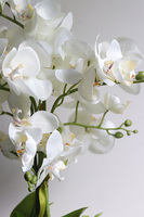 Helios, wysokiej jakości sztuczny storczyk