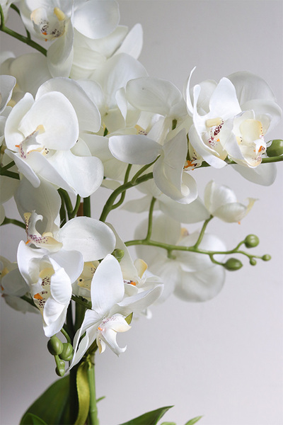 Helios, wysokiej jakości sztuczny storczyk