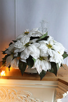 Simple, wysokiej jakości Biała Gwiazda Betlejemska