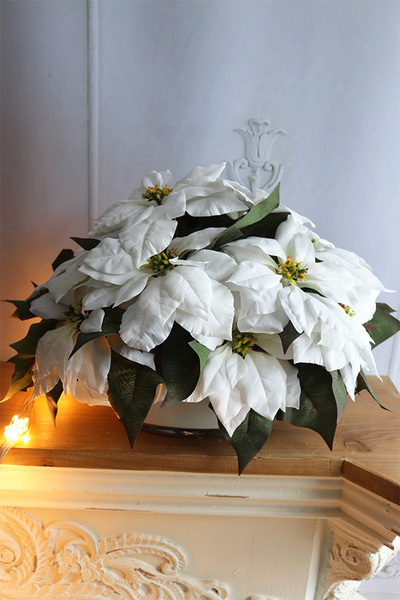 Simple, wysokiej jakości Biała Gwiazda Betlejemska