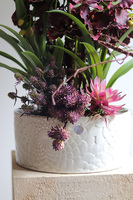 Fiolette Design, nowoczesny sztuczny storczyk z sukulentami, wym.54cm