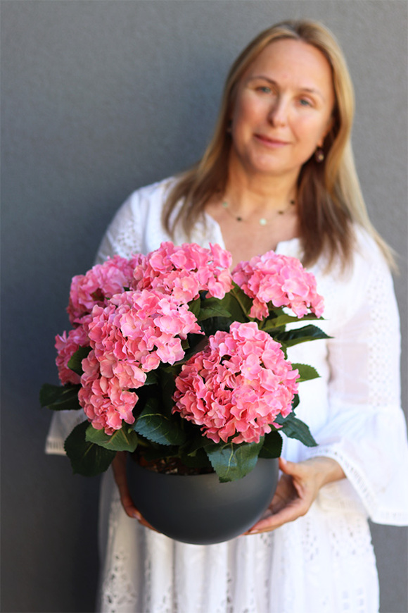 Pelargonia Bowl, kompozycja pelargonie w donicy