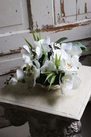 Dekoria Pear 3, storczyk kompozycja kwiatowa w srebrnym naczyniu, wym.22x29cm