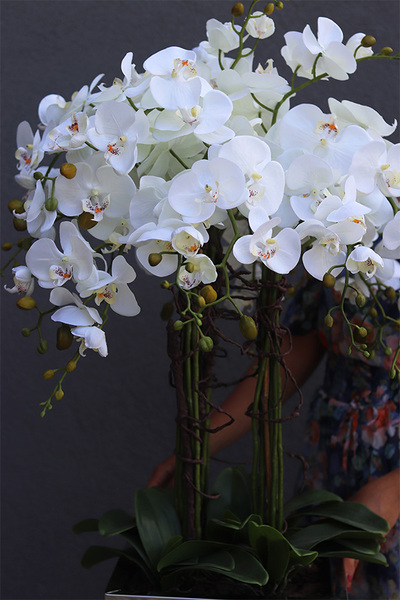 Moderno Mirror Galente, storczyk w metalowej donicy