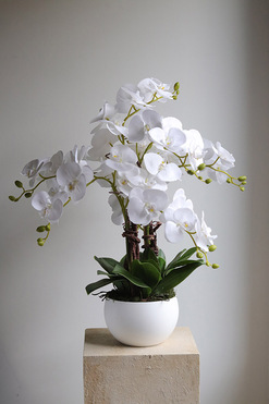 Mattia, sztuczny storczyk w donicy, wys.73cm