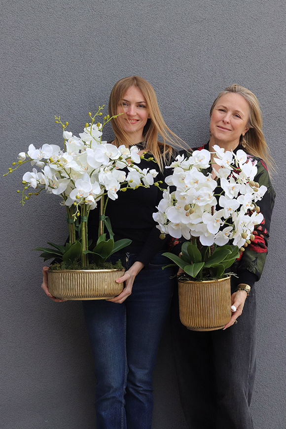 Hillton Gold, sztuczny storczyk w złotej misie