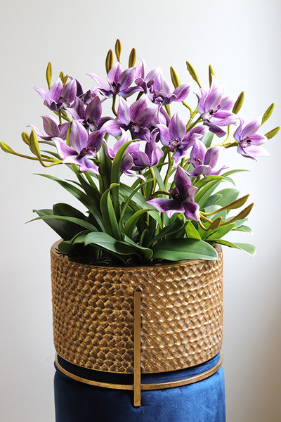 Goldenario Fioletti, biały storczyk w złotej donicy, wys.68cm