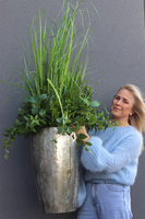 Srebrna Bajka, kompozycja z traw w donicy