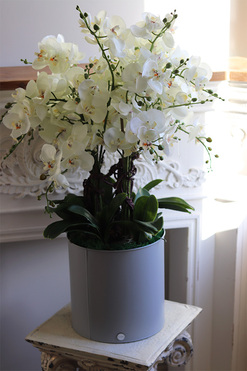 OD RĘKI Padwa Grey 2, sztuczny storczyk w szarej donicy, wys.89cm 