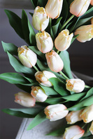 Tulipany Creamo, wiosenny wianek z tulipanów