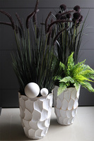 Black Ontario, kompozycja z trawami