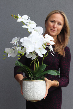 efektowny gumowy storczyk, White Pearl, wys.64cm 