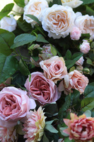 Bella Słodko-Słona, dekoracyjna girlanda kwiatowa