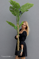 Monstera F, sztuczne drzewko w osłonce donicy