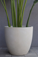 Bananowiec Concrete Ilustria, sztuczna roślina w donicy