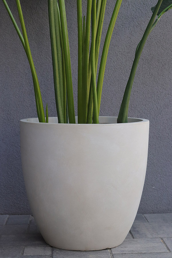 Bananowiec Concrete Ilustria, sztuczna roślina w donicy