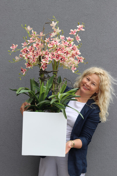 Fiberglass Cherie, gumowy storczyk w białej donicy