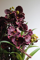 Fiolette Design, nowoczesny sztuczny storczyk z sukulentami, wym.54cm