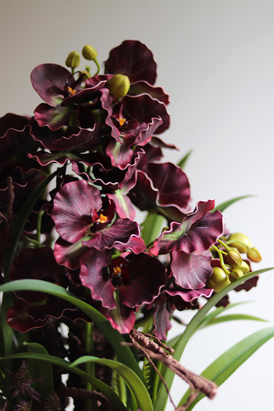 Fiolette Design, nowoczesny sztuczny storczyk z sukulentami, wym.54cm