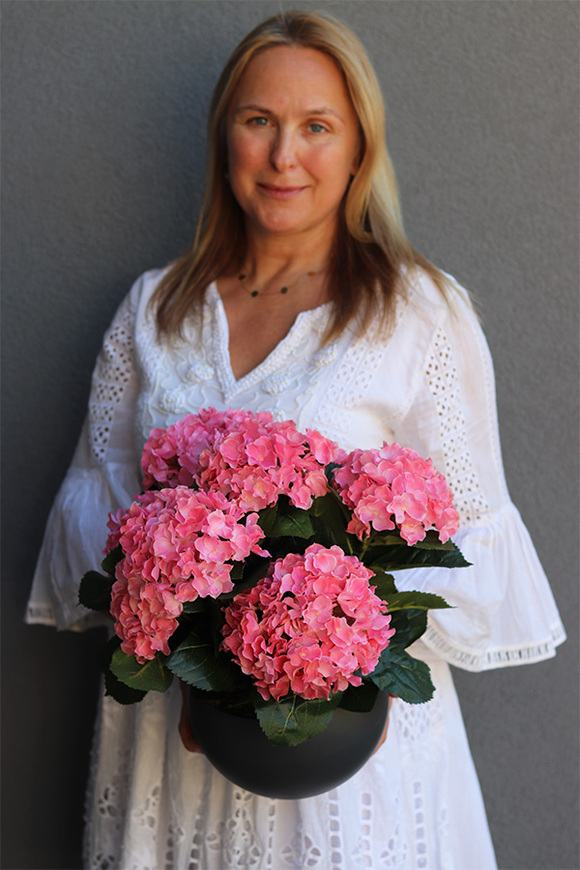 Pelargonia Bowl, kompozycja pelargonie w donicy
