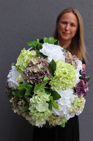 flowerbox z hortensjami, Mediano Hydrangea, wym.54x44cm 