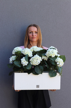 Hortensje Biel 2, sztuczne kwiaty na balkon i parapet, wym.45cm