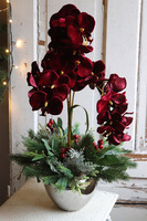 dekoracja świąteczna ze storczykiem, Velurro Bordo