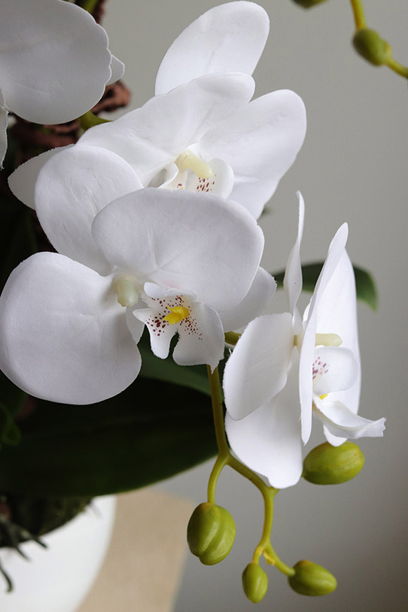 Mattia, sztuczny storczyk w donicy