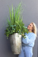 Srebrna Bajka, kompozycja z traw w donicy