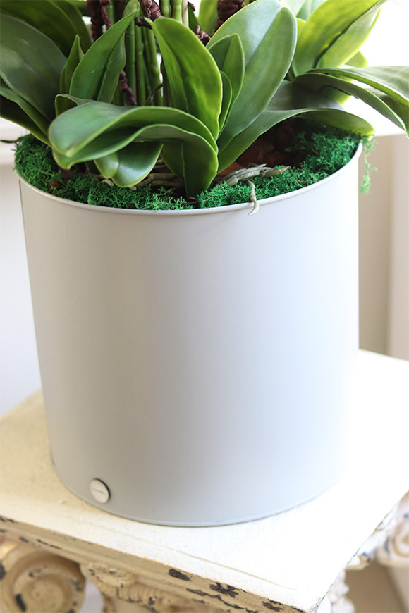 Padwa Grey 2, sztuczny storczyk w szarej donicy